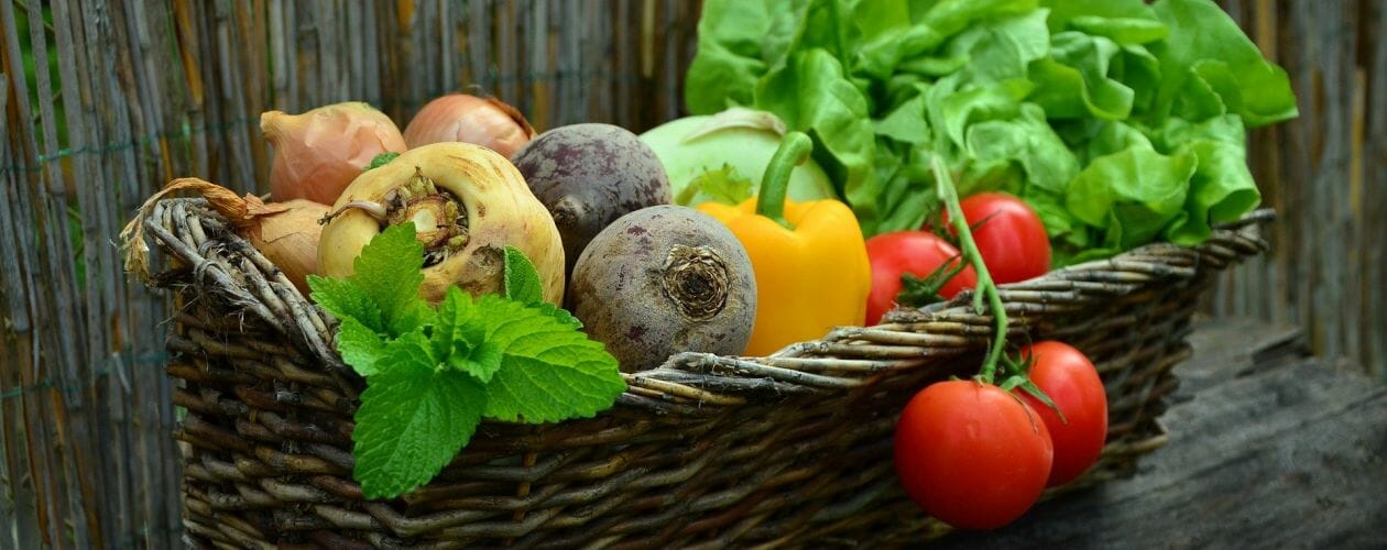 Your Breasts and the Big C - Vegetables