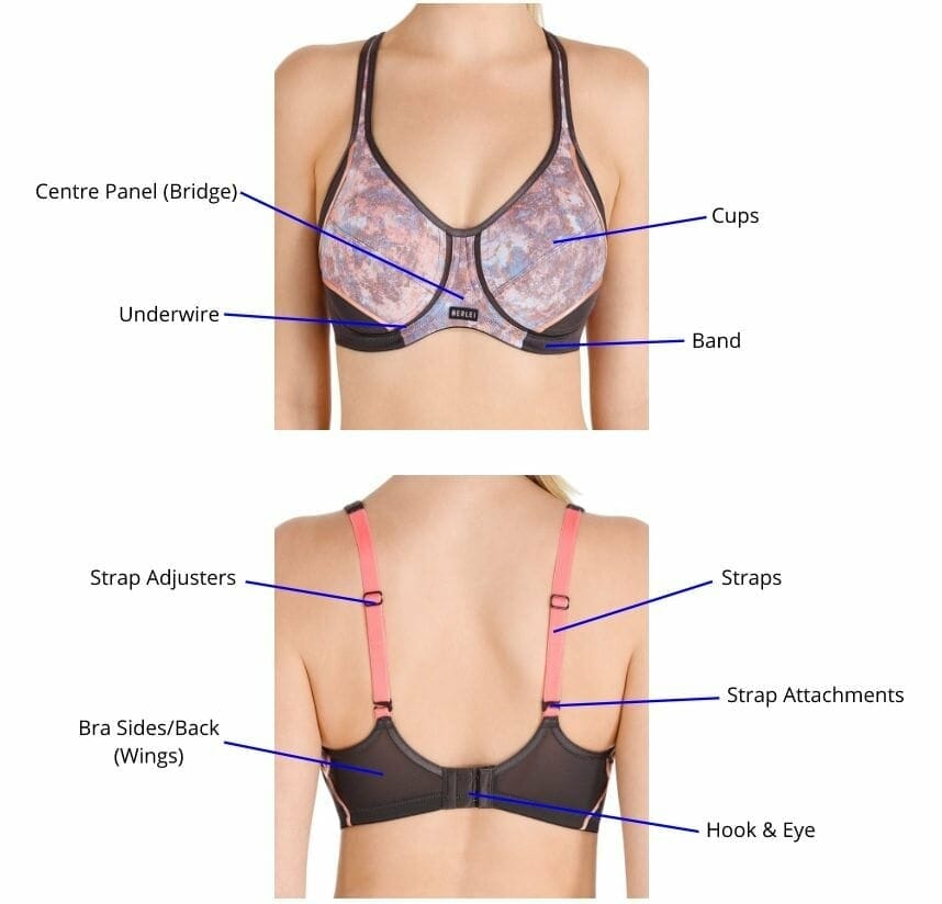 The Anatomy Of A Sports Bra Sports Bras Direct