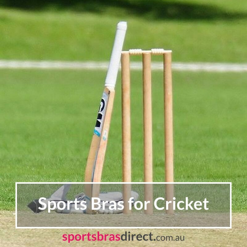 Cricket stumps, bat and gloves.