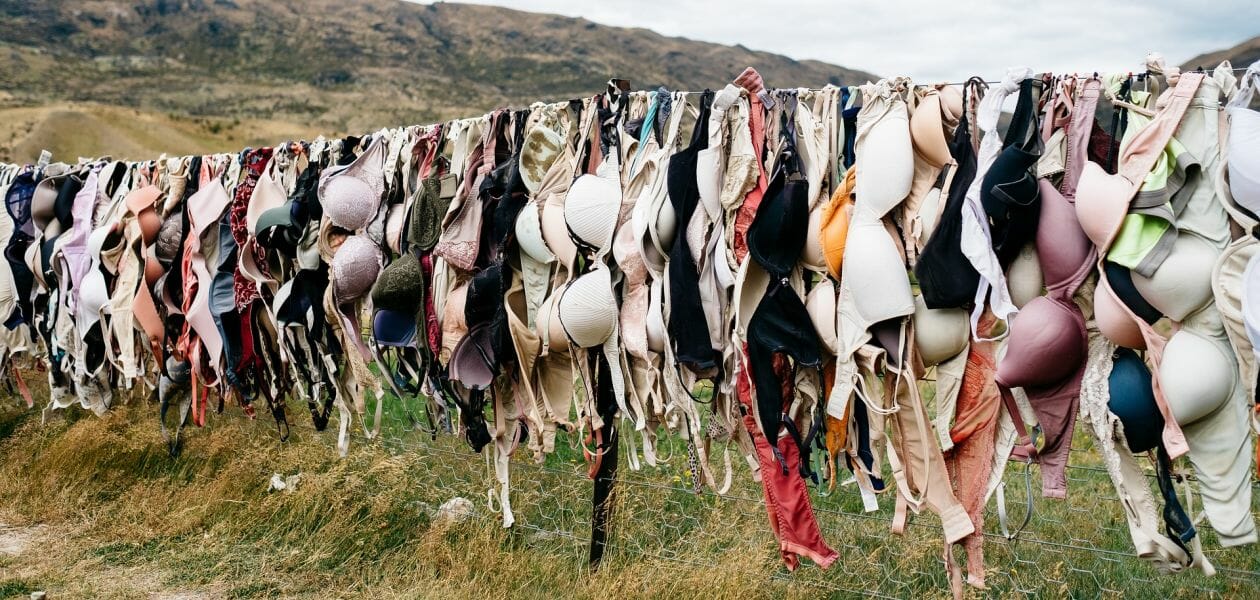 Many old bras hanging on a line.