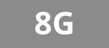 8G