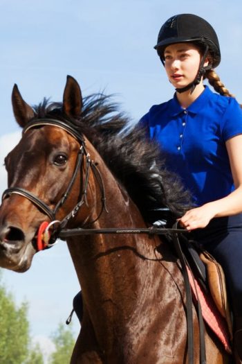 Horse Riding Sports Bras