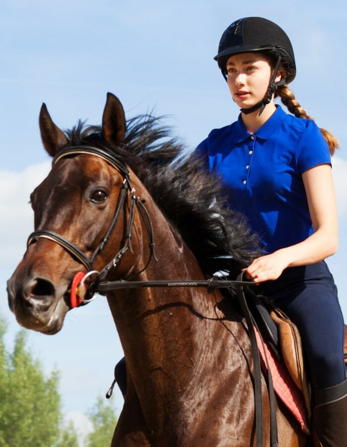 Check out our range of Horse Riding Sports Bras