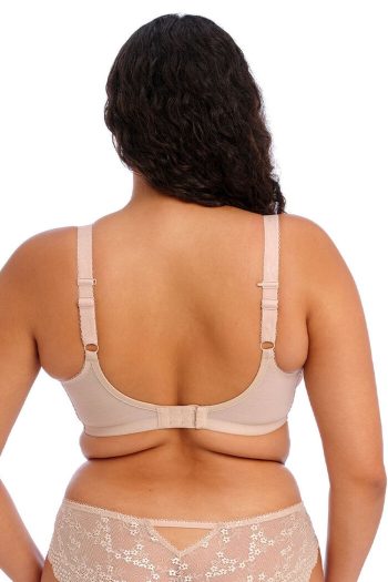Elomi Charley Stretch Plunge Bra, Fawn, Regular Back View