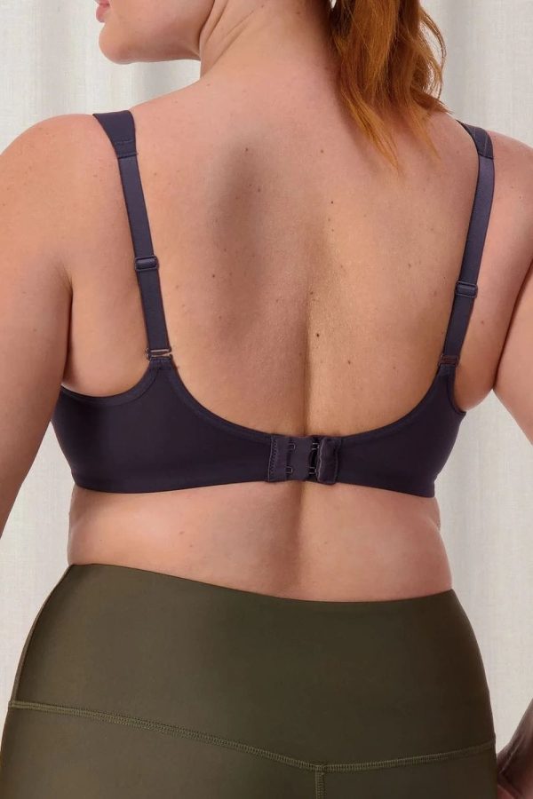 Triumph Triaction Ultra W Sports Bra, Blueberry, Regular Back View