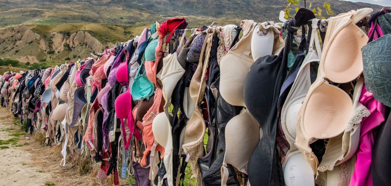 Old bras hanging on a clothes line.