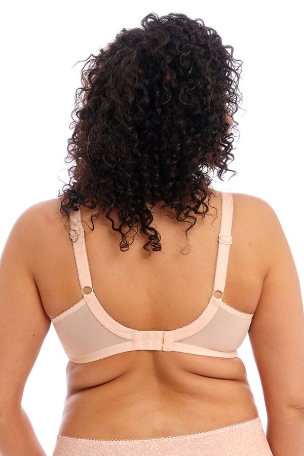 Elomi Morgan Banded Bra, Cameo Rose, Back View