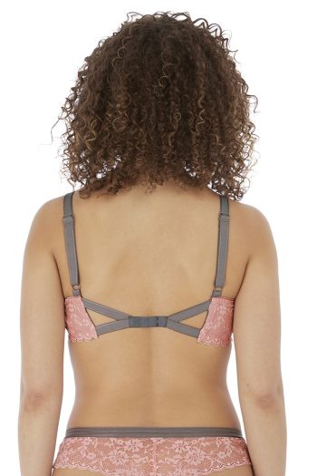 Freya Offbeat Plunge Bra, Rosehip, Back View