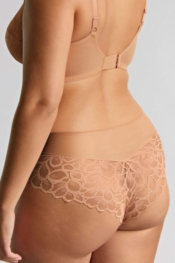 Panache Allure Deep Brief, Honey, Back View