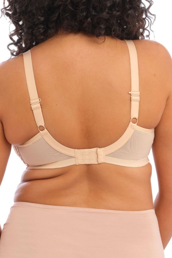 Elomi Bijou Banded Moulded Bra, Sand, Regular Back View