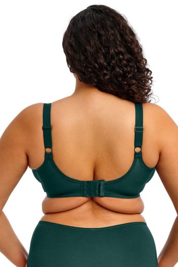 Elomi Smooth Moulded Non-Padded Bra, Deep Emerald, Back View